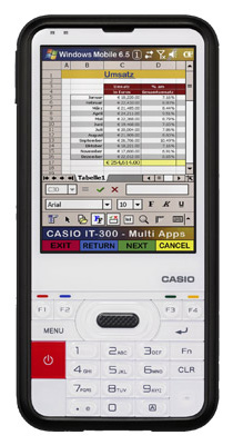 Casio IT-300