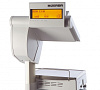 Bizerba SC II 800